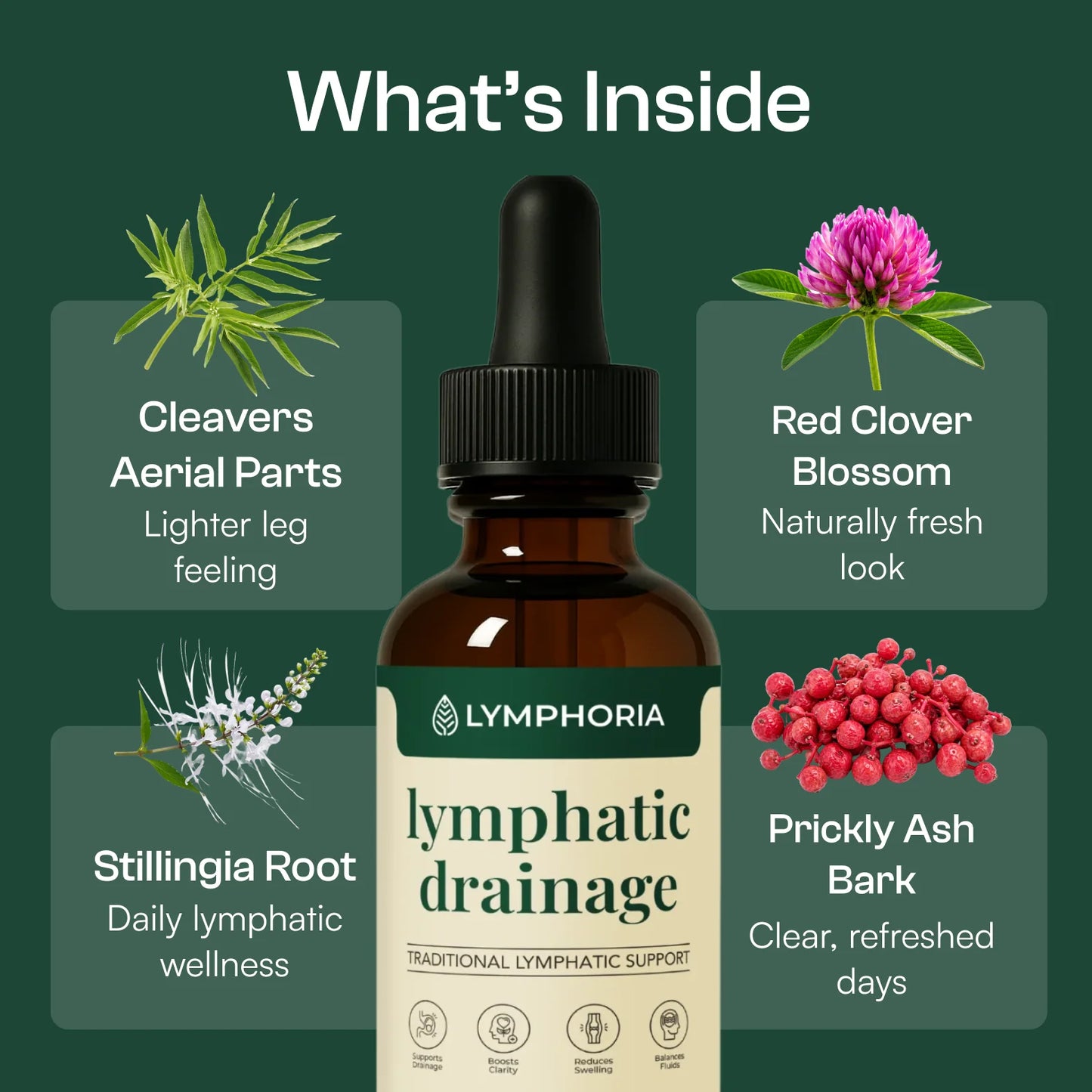 Lymphatic Drainage Wellness Drops